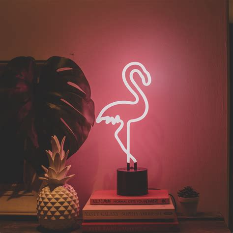 Flamingo Neon Light Amped And Co Touch Of Modern