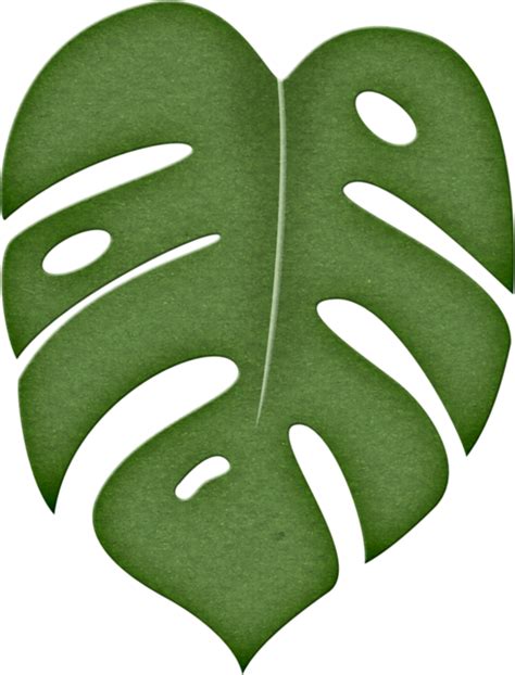 Printable Jungle Leaf