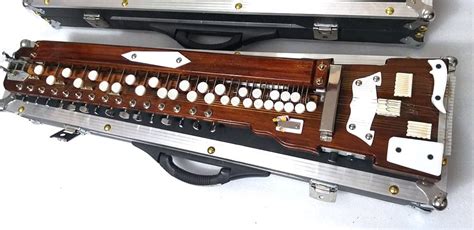 Shahi Baaja Indianpakistani Banjo Profesisonal Instrument Fusion Of