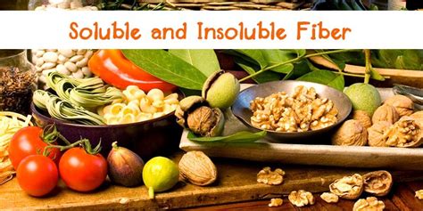 Top 19 Foods High In Soluble Fiber 911 Weknow