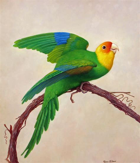 bird paintings