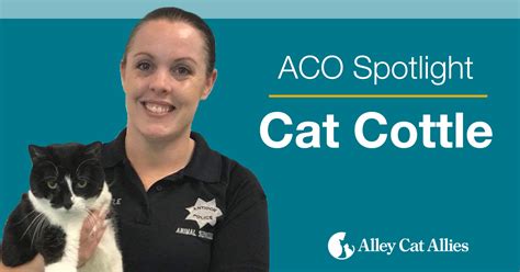 An Amazing Aco Cat Cottle Opens Shelter To Trap Neuter Return Alley