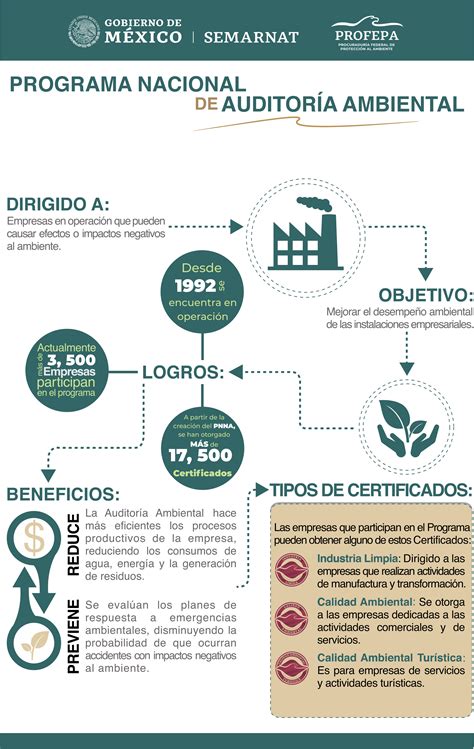 Etapas De La Auditoria Ambiental Auditoria Ambiental En Mexico Images