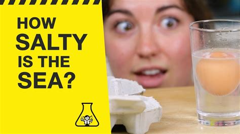 How salty is the sea? Try this easy science experiment at home! 