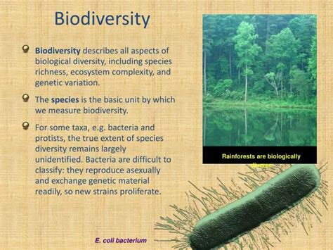 Ppt Biodiversity Powerpoint Presentation Free Download Id2202180