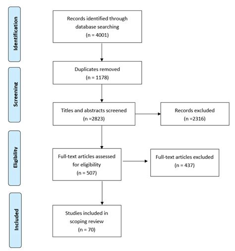 Flow Diagram For Scoping Review Showing Literature Search And Selection