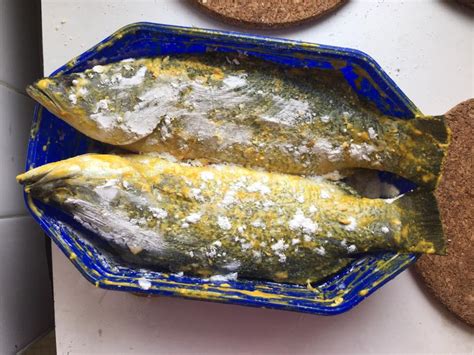 Ikan kerapu merupakan salah satu ikan yang mengeluarkan cairan berlendir yang licin. Resepi Ikan Siakap Goreng Thai ~ Resep Masakan Khas