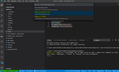 Como Configurar O Terminal Integrado Do VS Code Para Usar O Interpretador Python Correto