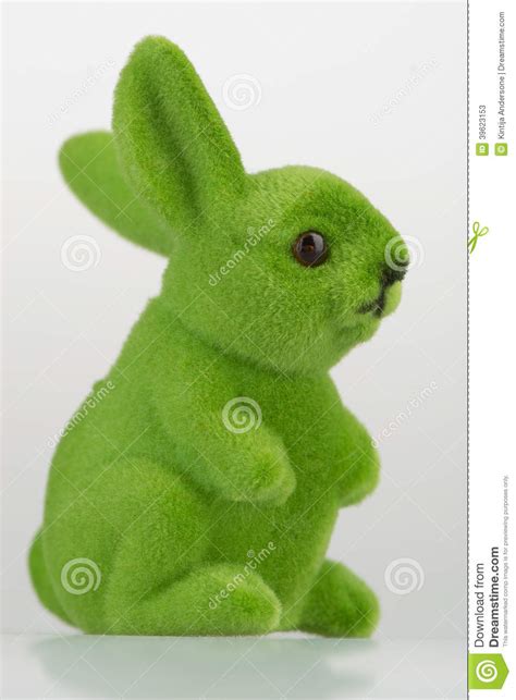 Green Rabbit Stock Image Image Of Animal Hare Studio 39623153