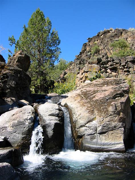It doesn't like cold, so keep it away from drafty windows. Three Forks Warm Springs | Flickr - Photo Sharing!