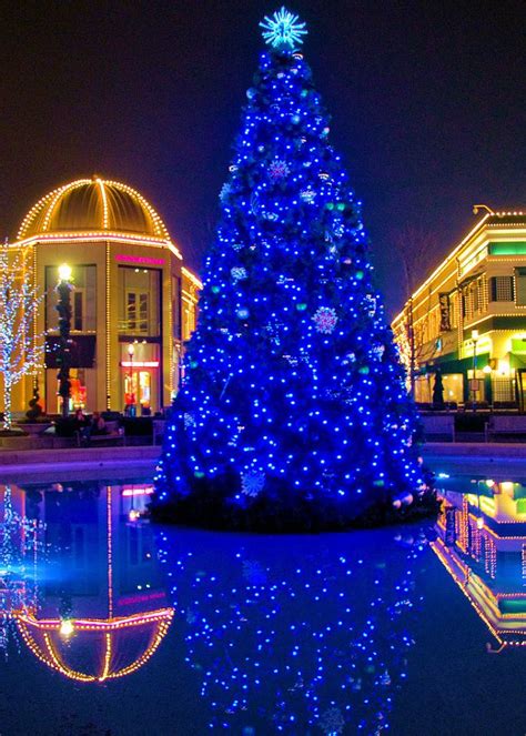 Beautifully Lit Christmas Tree Blue Christmas Lights Blue Christmas