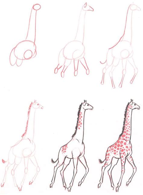 The last step on how to draw a cartoon giraffe is outline your drawing and color it brown. 20 Ways To Draw A Giraffe Like A Cartoonist - Bored Art