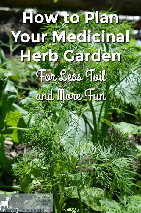 How To Plan Your Medicinal Herb Garden For Less Toil And More Fun