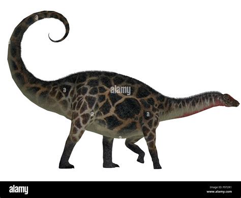 Dicraeosaurus Was A Sauropod Herbivorous Dinosaur That Lived In The