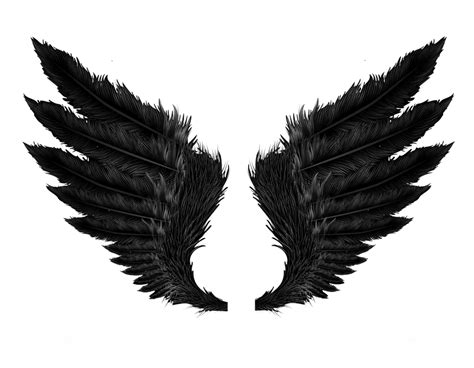 Black Wings Png Stock By Gilgamesh Art On Deviantart