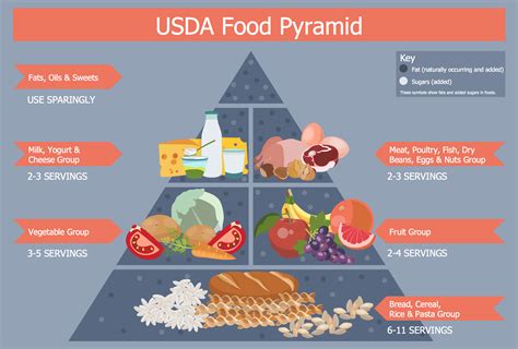 4 levels of food pyramid grains vegetables fruits meats and beans dairy examples include oatmeal, brown rice, and white bread vegetables examples. Health Food Solution | ConceptDraw.com