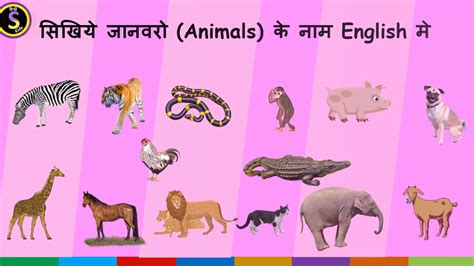 सीखिए जानवरो (Animals) के नाम (Name) हिंदी(Hindi) और इंग्लिश (English