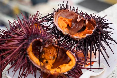 How To Eat Uni Sea Urchin Yummy Mummy Kitchen