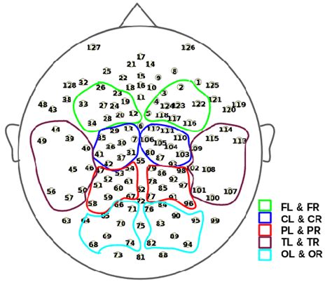 A A Brain Map Of The Electrode Positions Of The Eeg Cap All The