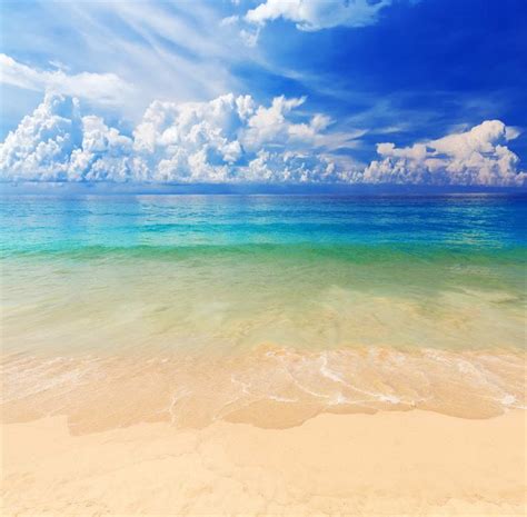 Video Studio 5x3ft Summer Tropical Beach Backdrop Blue Sea Sky Sunshine