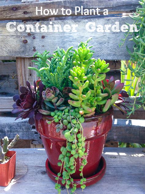 This typically falls somewhere between march and may, depending on planting intensively in a raised bed garden minimizes moisture loss. How to Plant a Container Garden to Enhance Your Yard ...