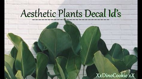 Roblox Decal Id Codes Plants