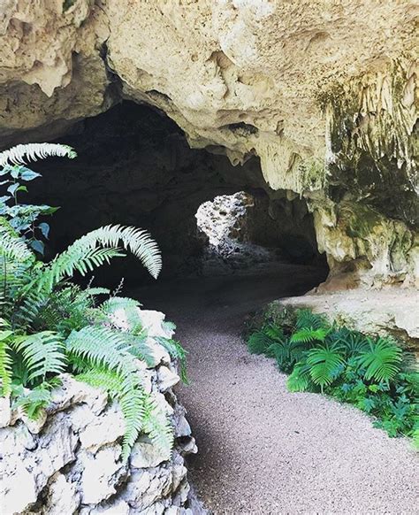 Cayman Crystal Caves Underground Caves In Grand Cayman Cayman