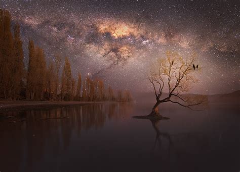 Lone Tree Under The Milky Way In Wanaka New Zealand Oc 1468x2048