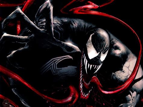 Venom Spider Man Wallpaper 20067754 Fanpop