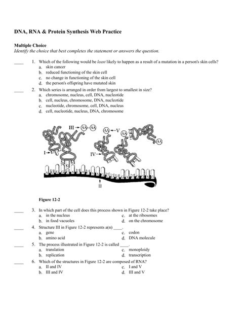 How can some little molecule be a code that makes a single cell develop into a. Worksheet Dna Rna And Protein Synthesis Biology Chapter 13 | Free Printables Worksheet