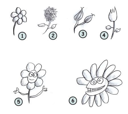 Flower drawings of cosmos flowers by katrina of blushed design. How to draw cartoon flowers