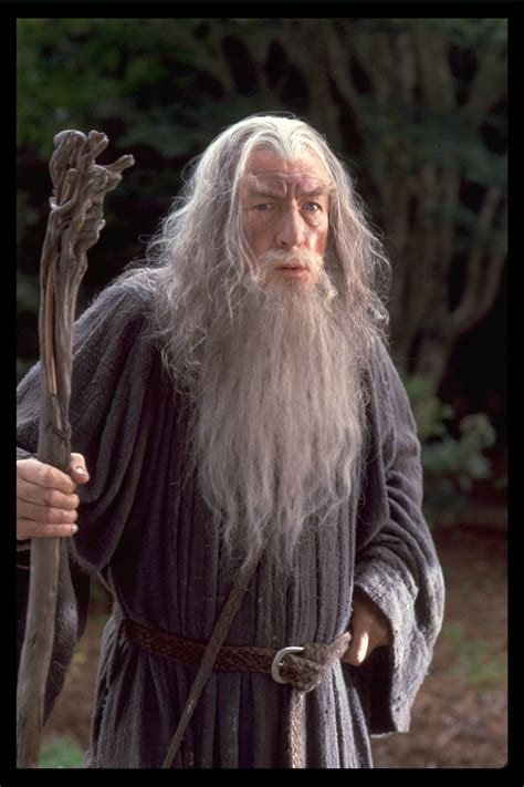 Gandalf Lord Of The Rings Gandalf The Grey The Hobbit