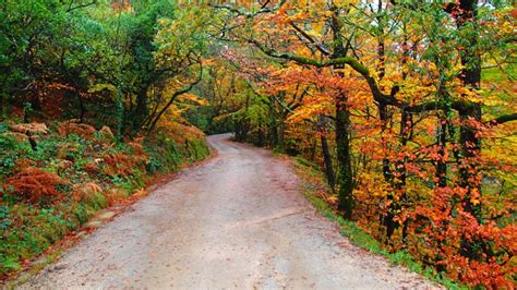 A Incrível Beleza Do Outono No Parque Nacional Parte Iv Pnp Gerês
