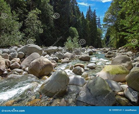 Stoney River Stock Image Image Of River Sunny Trees 19999141