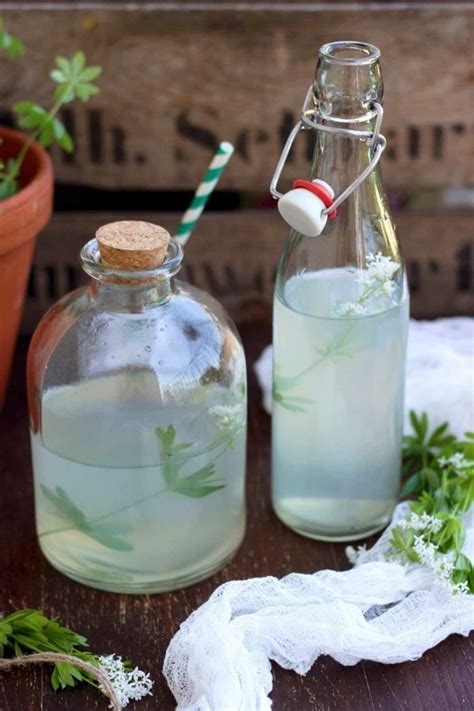 Waldmeister Rezepte und warum wir diese Pflanze so sehr lieben