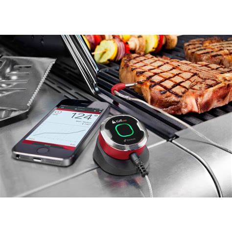 Shop Idevices Igrill Mini Remote Meat Thermometer At