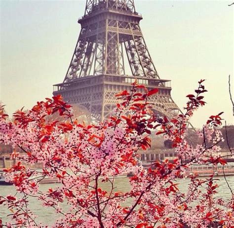 Cherry Blossom In Paris Eiffel Tower Paris In Spring Beautiful