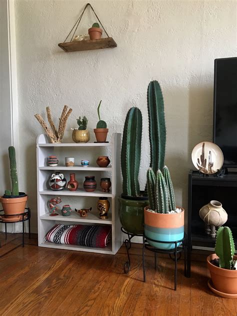 Cactus Apartment Decoration Room Inspo Room Inspiration Cactus E