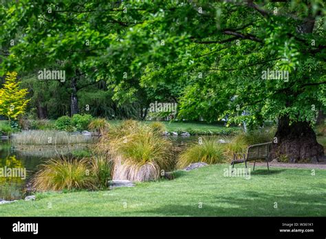 Queenstown Gardens Queenstown South Island New Zealand Stock Photo