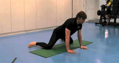 Frog Stretch Adductor And Groin Flexibility For Inner Thighs Video Demo