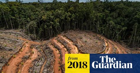 Stop Biodiversity Loss Or We Could Face Our Own Extinction Warns Un