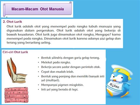 Adapun rpp kelas 5 yang kami sajikan disini adalah tema 6 tema 7 tema 8 dan tema 9. RPP Daring Kelas 5 Semester 1 Tema 1 Subtema 2 Pembelajaran 3 | Dyn's World