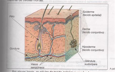 De Onde Vem O Tecido