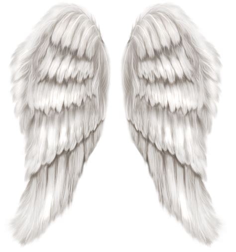 Heaven Clipart Wing Heaven Wing Transparent Free For Download On