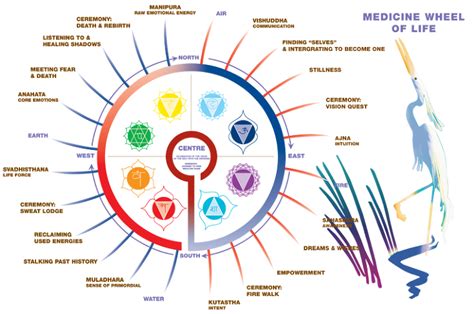 medicine wheel lakota | Medicine wheel, Lakota, Medicine