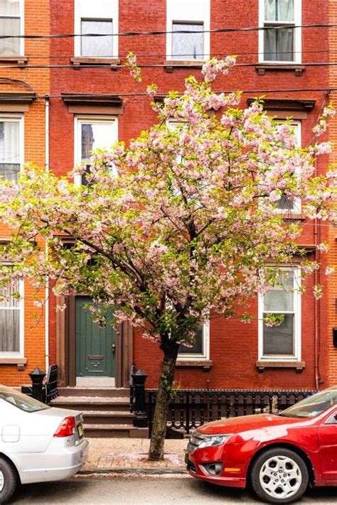Shop for hoboken nj wall art from the world's greatest living artists. Hoboken Residential Print, BOHO Urban Home Wall Art Decor ...