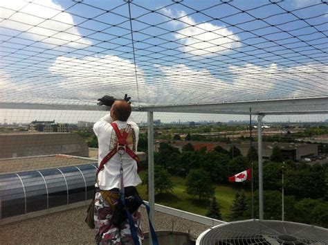 How to use bird netting. Bird Netting and Pigeon Netting solutions in Toronto ...