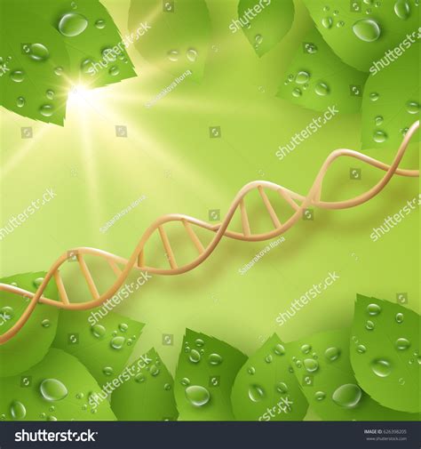 206 Imágenes De Dna Extraction Of Plants Imágenes Fotos Y Vectores De Stock Shutterstock