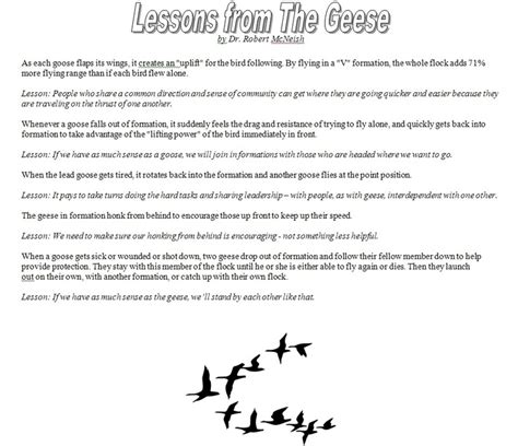 leadership lessons from geese leadership lessons lesson leadership