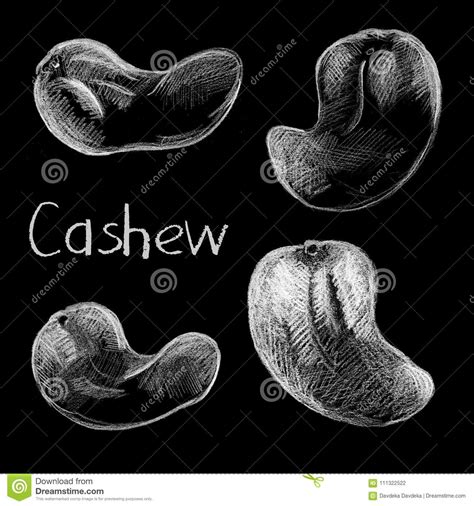 • 2 млн просмотров 1 год назад. Cashew Nut By White Chalk On Black Background. Roasted ...